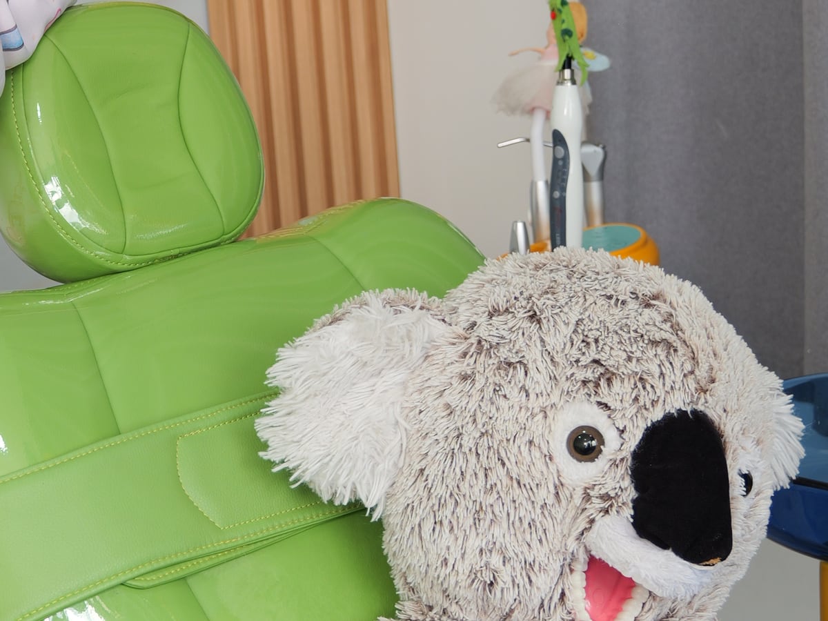 El sillón verde del consultorio con el koala de peluche que recibe a los niños